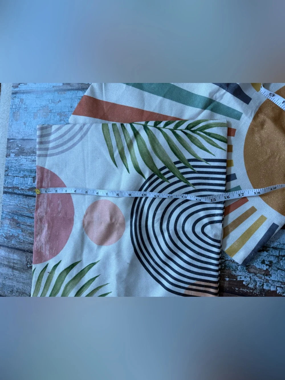 Two decorative pillow cases